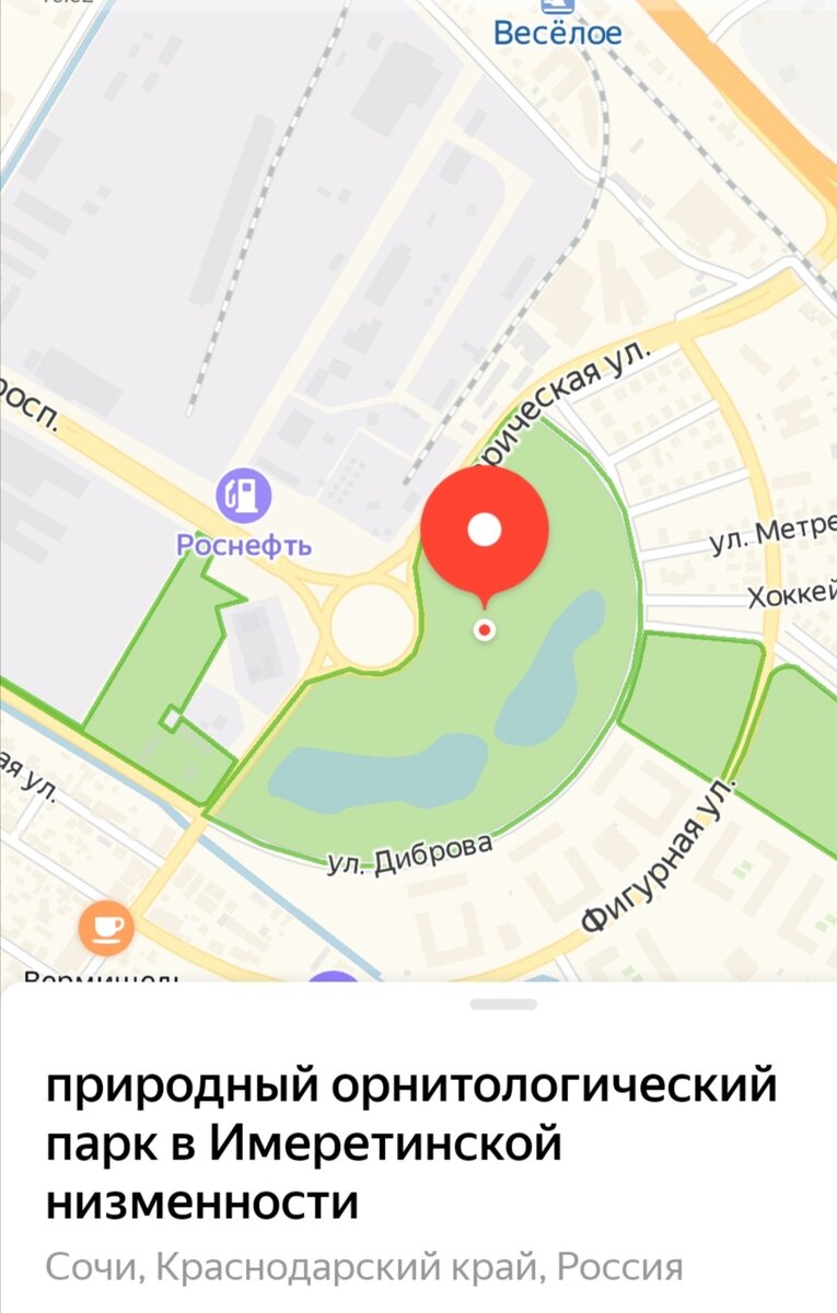 Парк 