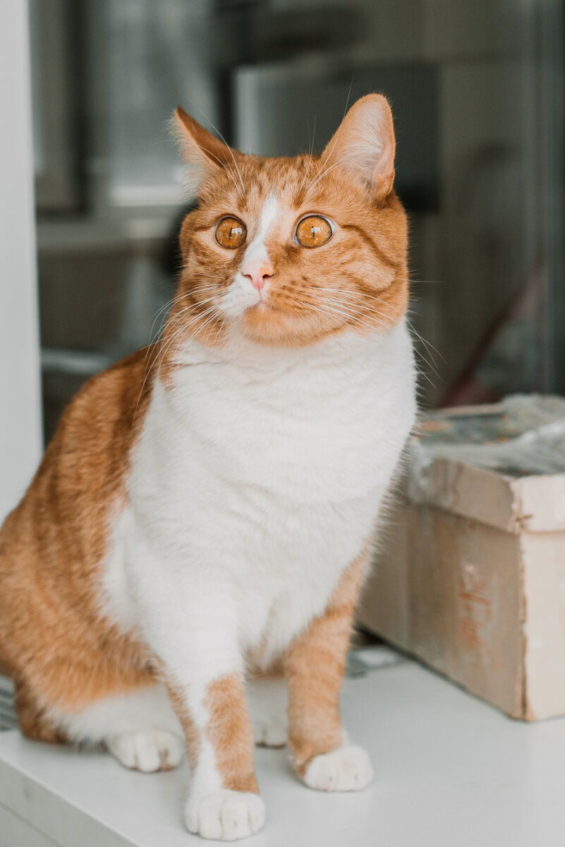 Да-да, это я, автор канала. Подписывайтесь на мой канал и ставьте лайки!