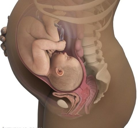 Сорок вторая неделя