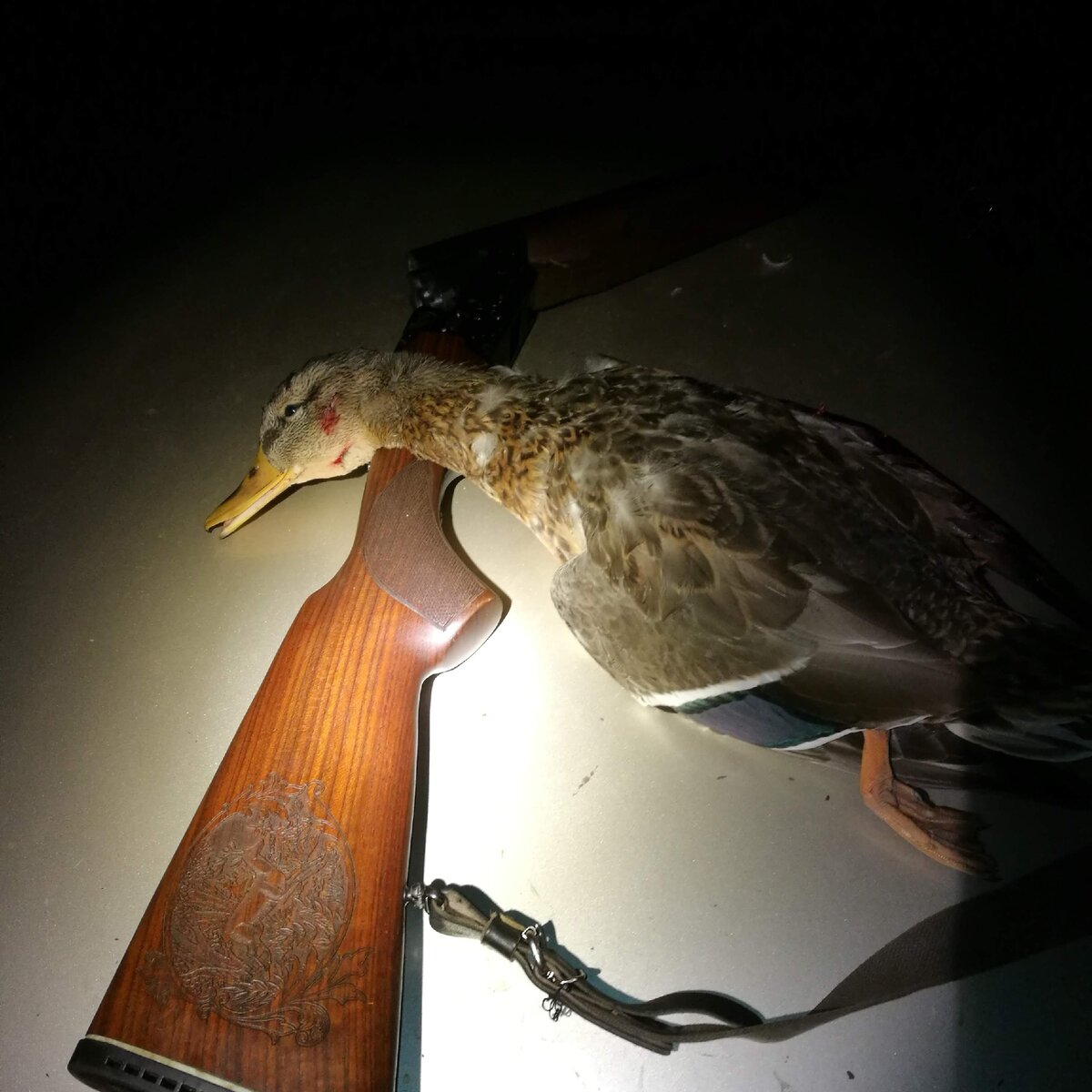 Селезень и Тоз-34