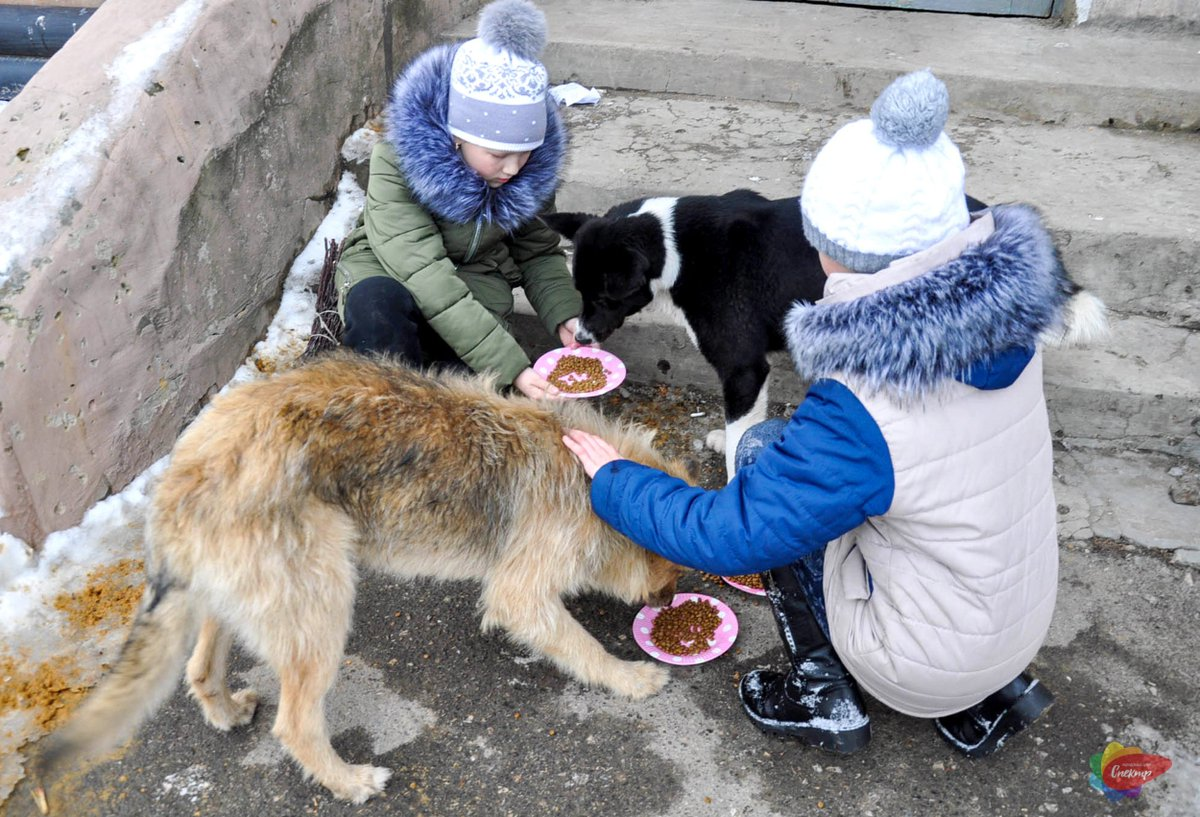 Помощь животного человеку