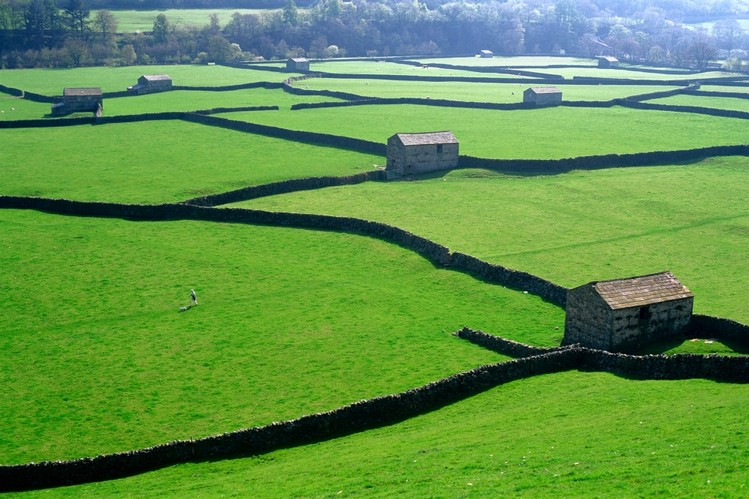 Идиллия: всё обработано, ухожено и огорожено. Такие наделы смогли произвести огромное количество продуктов питания по падающим ценам, но ценой огромных страданий простых крестьян. 