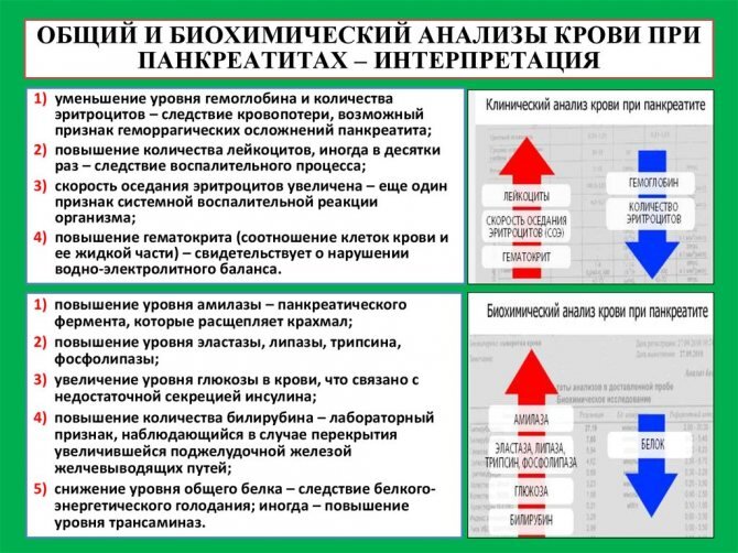 Панкреатит - симптомы, причины, признаки и методы лечения у взрослых в «СМ-Клиника»