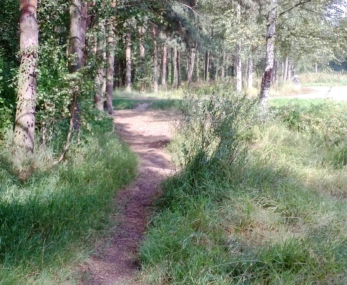 Наши заповедные тропочки