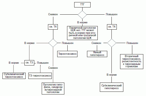 Диагностика и лечение гипертиреоза (Александров)