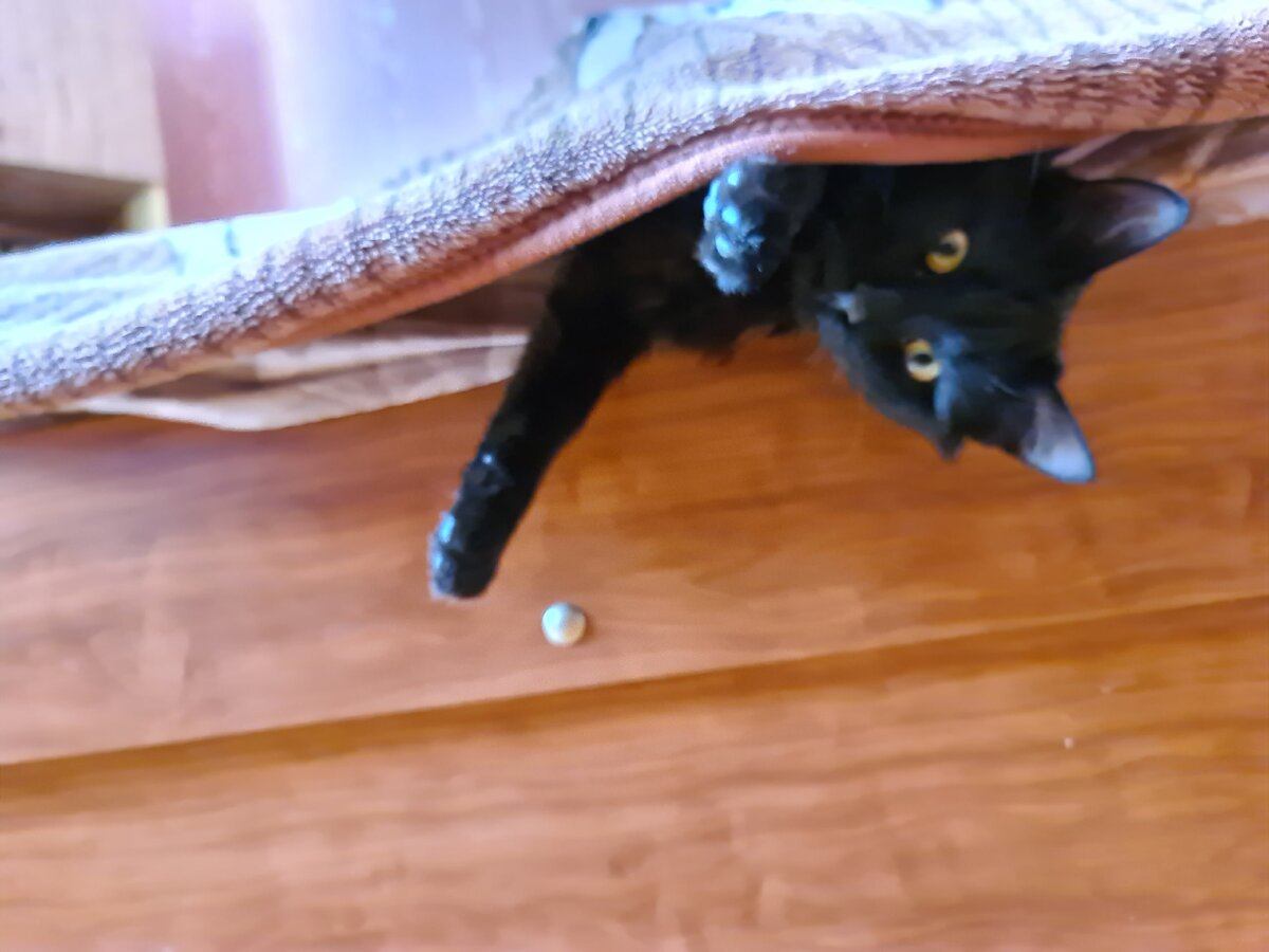 Снова проказничал и залез под одеяло