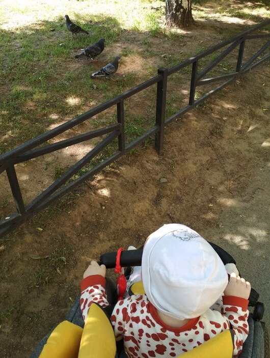 Птичкки-синички с нами гуляют. И им нормально и нам нормально (а Вере даже интересно). 