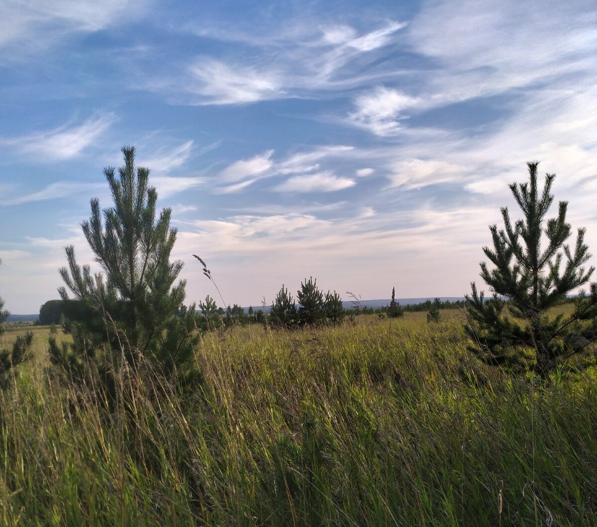 Иногда во снах я вижу голубое небо над головой