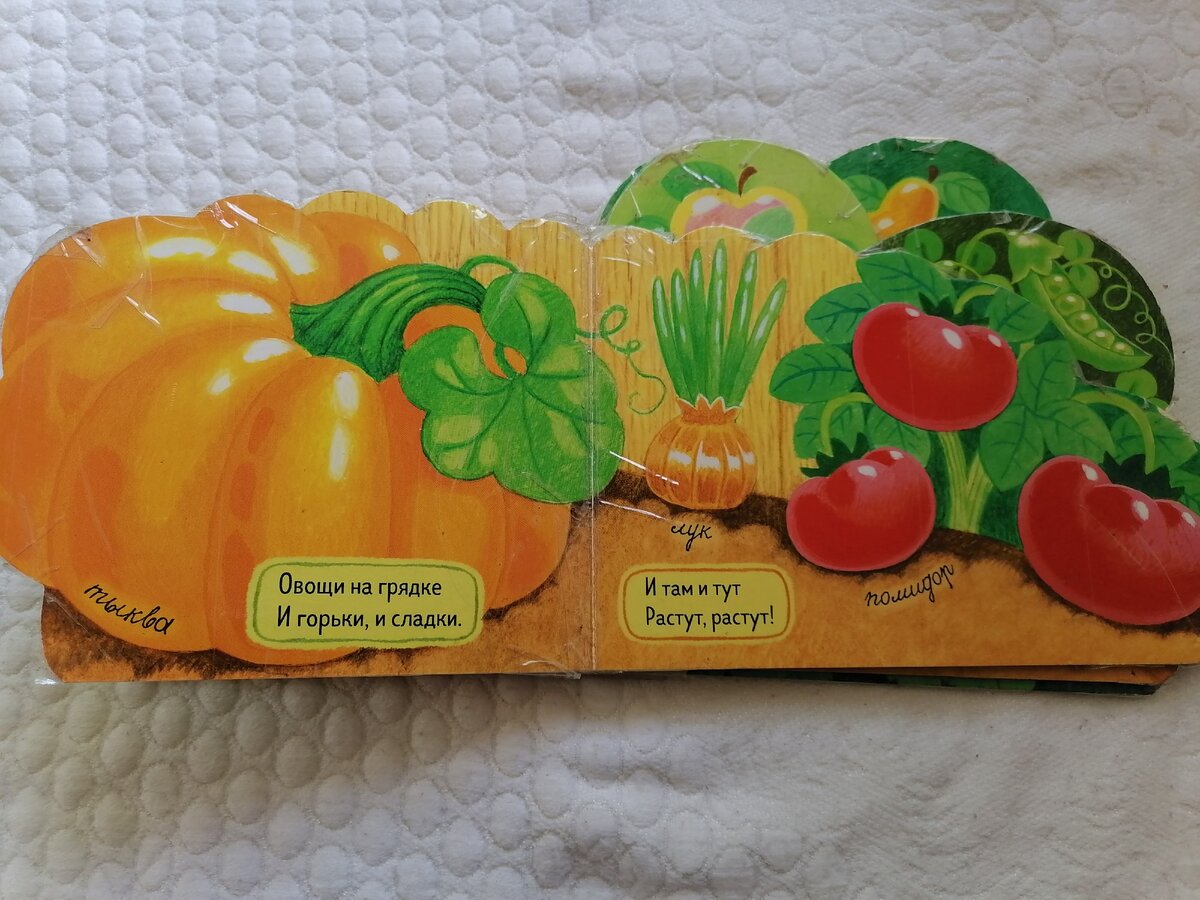 Наша помощница в изучении растений. 