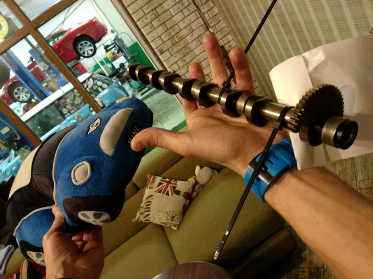 Хищный электрик блю и вал valvetronic