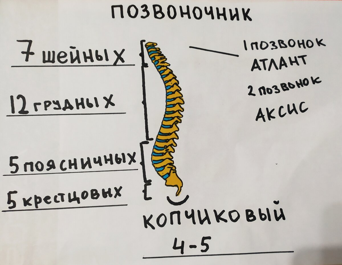 Сколько чего?