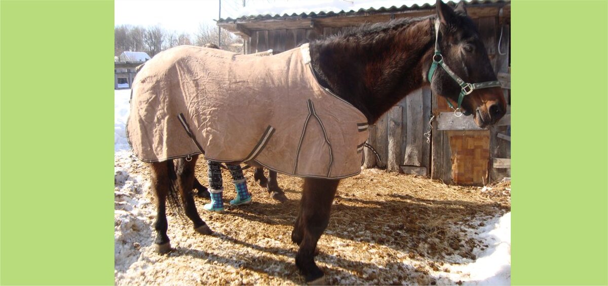 Рита. Фото автора