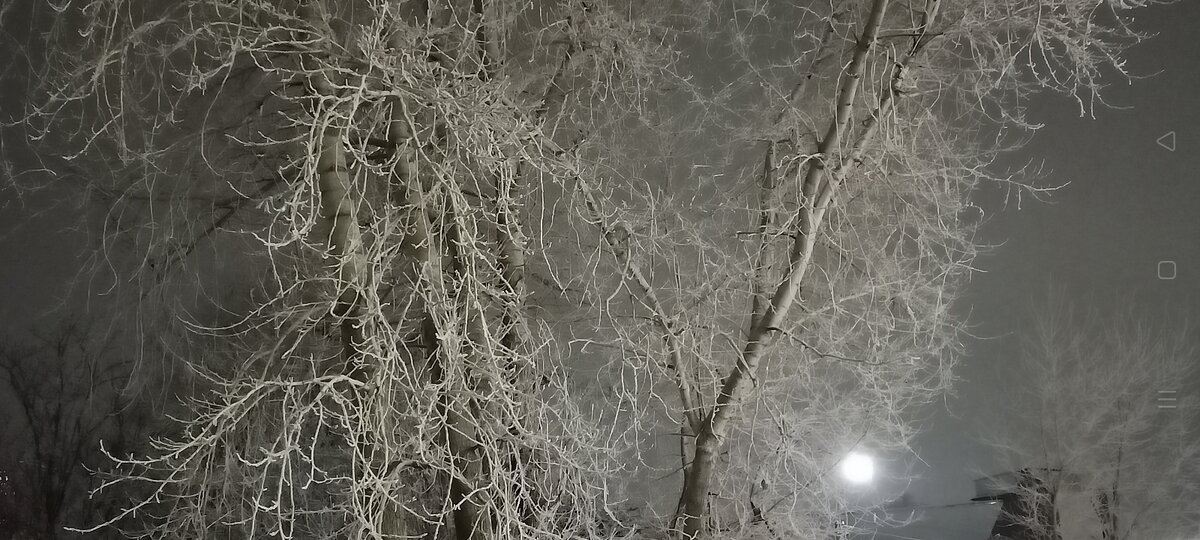 (Личное фото автора)