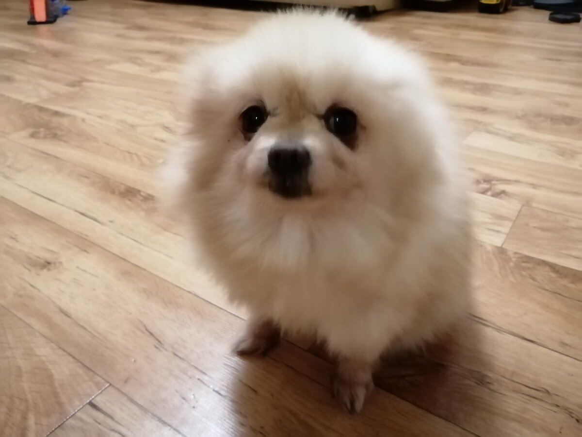 После купания