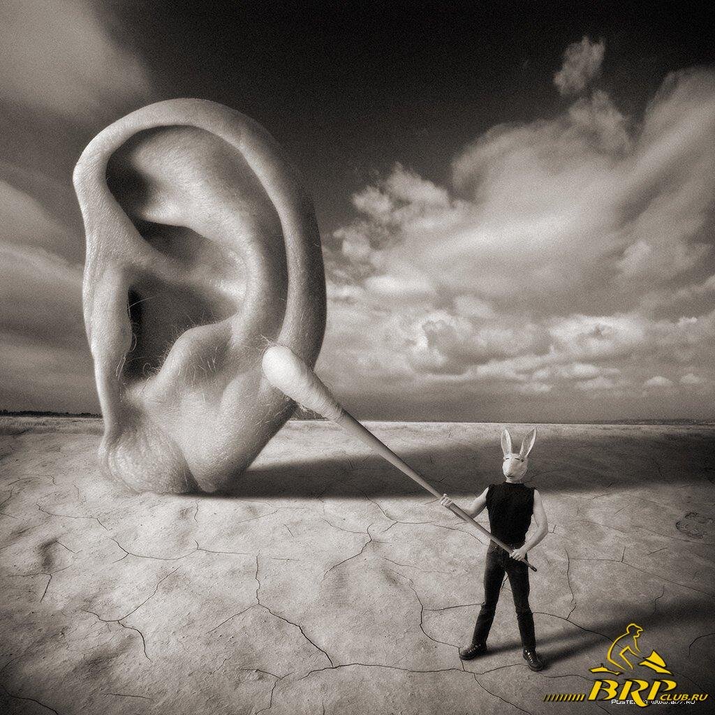 Картинка: Яндекс