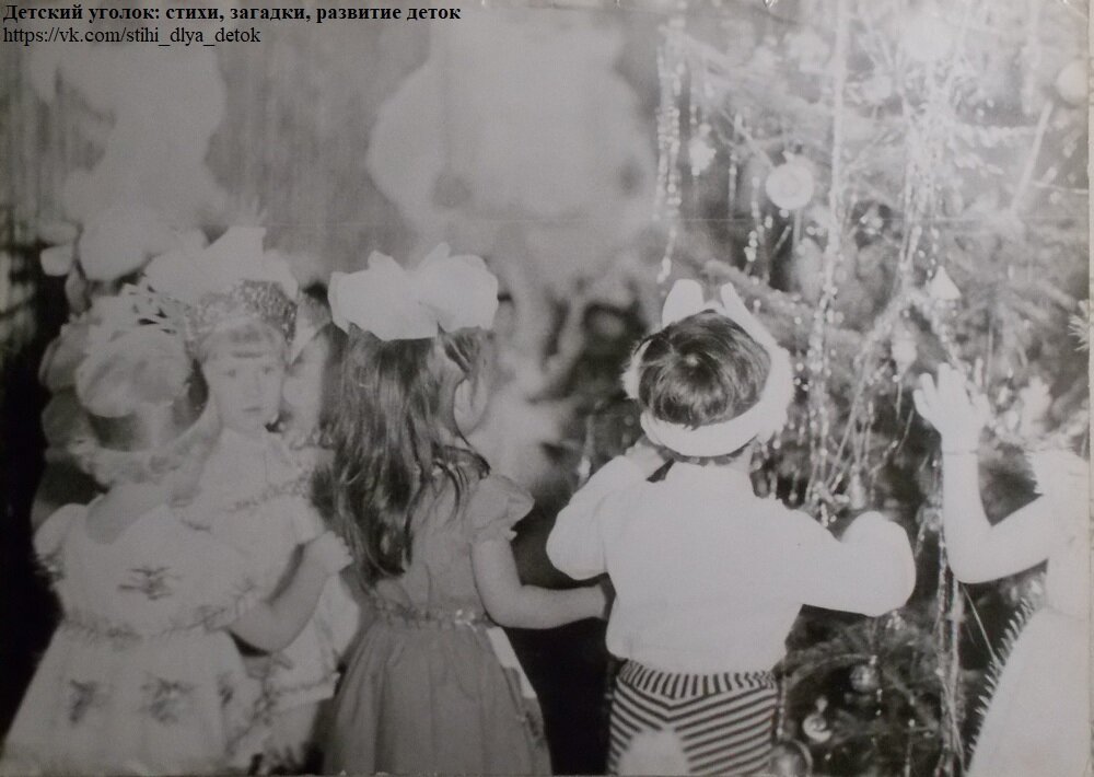 Фото 1988. Из личного альбома.