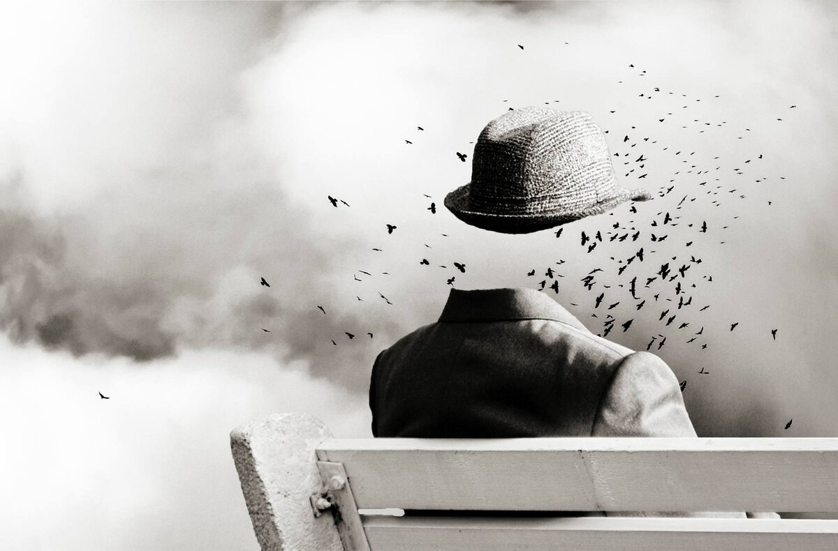 Изображения из открытого доступа.