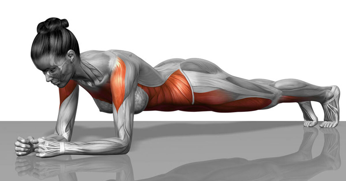 Это оптимальная нагрузка для тонуса мышц