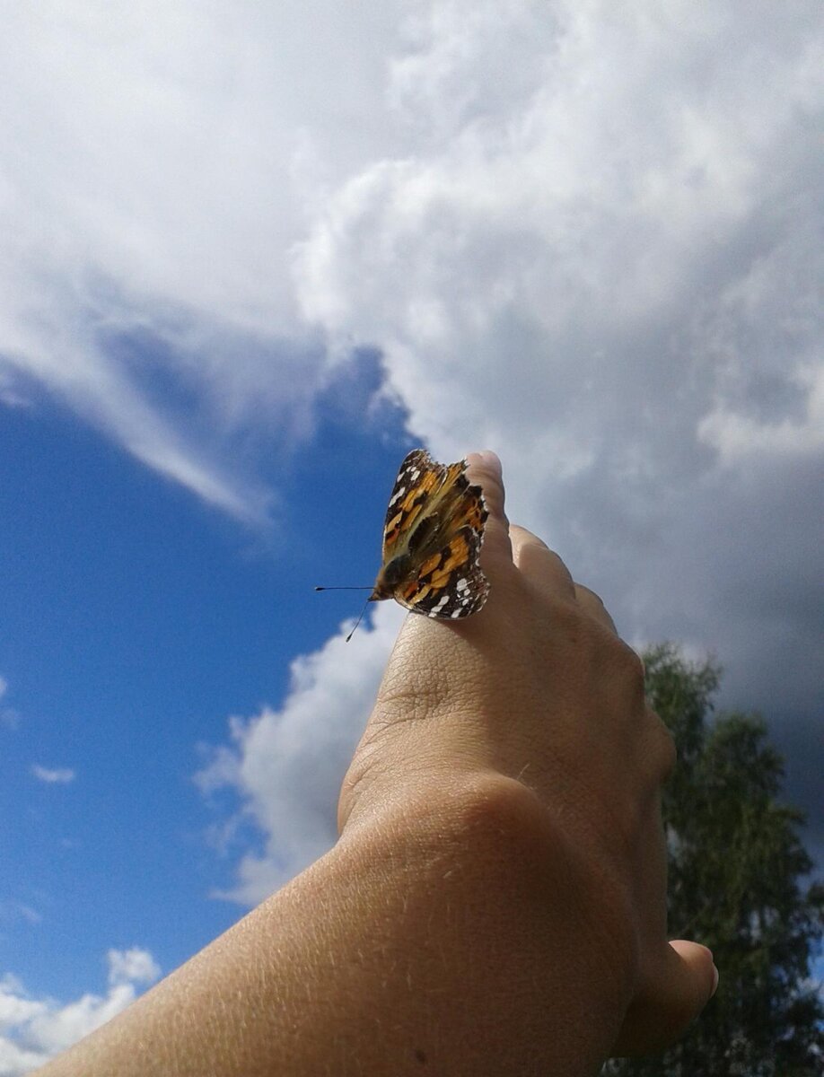 авторское фото