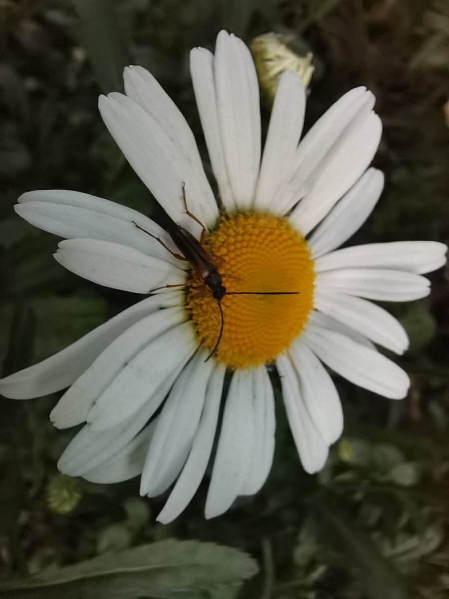 Личное