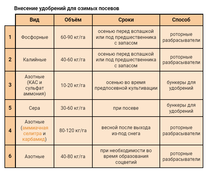 Бизнес план по выращиванию рапса