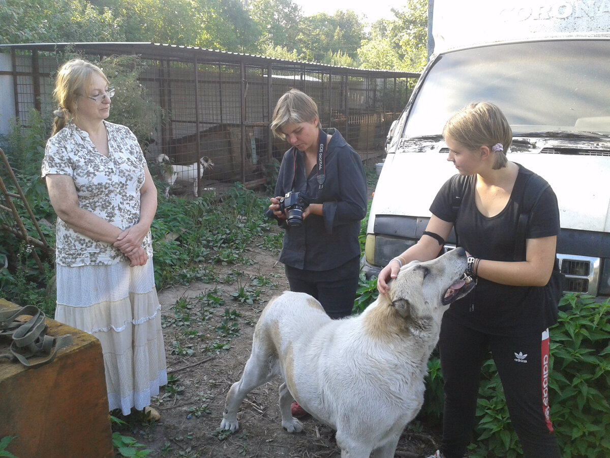 Арчи и наших трое. Фото из личного архива