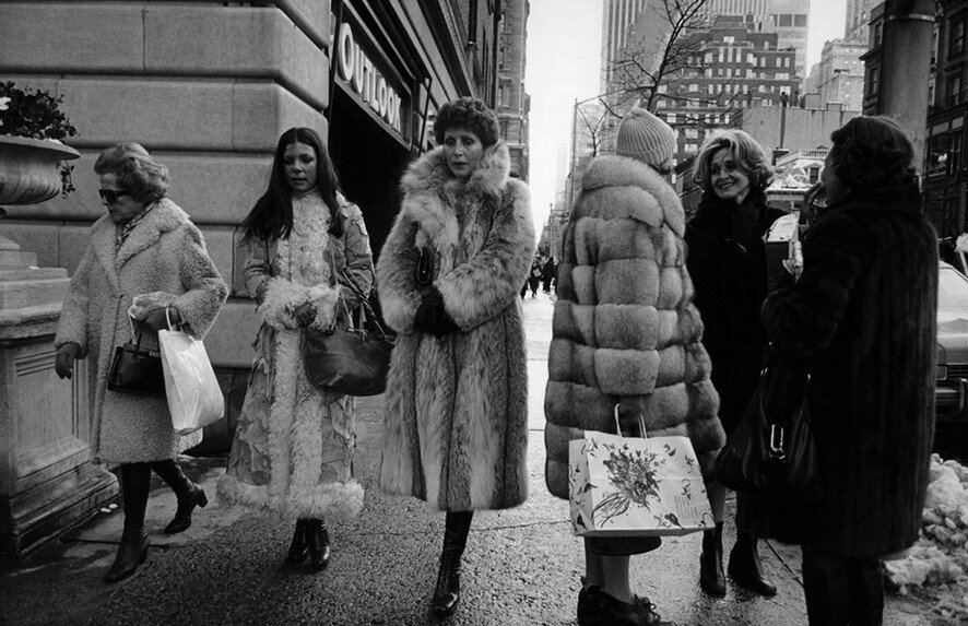 Яндекс фото