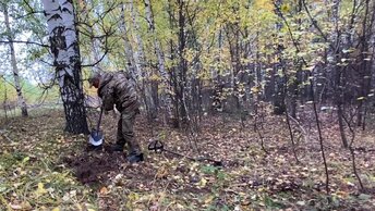 Наткнулся на массивную металлическую рукоять, которая уходила в корни дерева. Решил ее откопать.