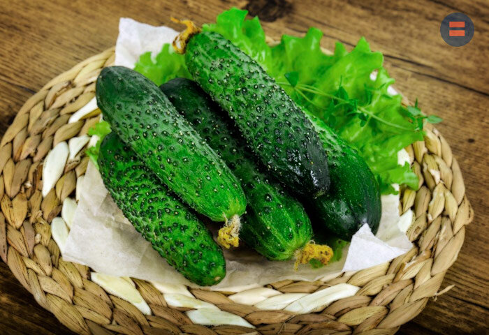 Выбираем огурцы