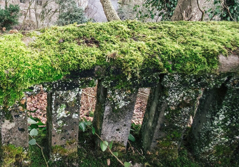 Свободный источник