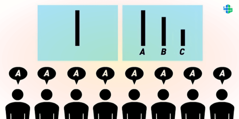 Фото с сайта https://4brain.ru/blog/eksperiment-asha/