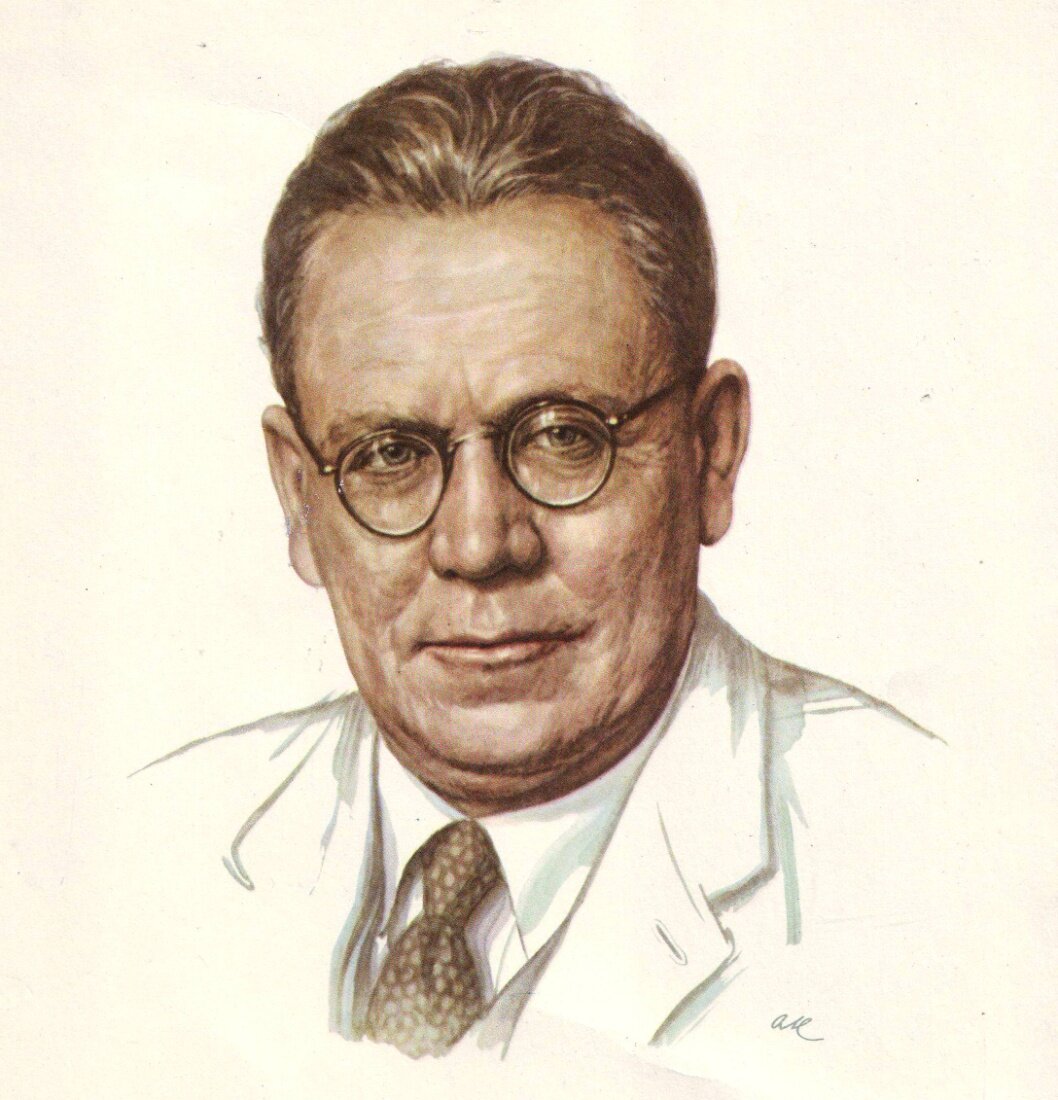 изображение из сети интернет и в свободном доступе