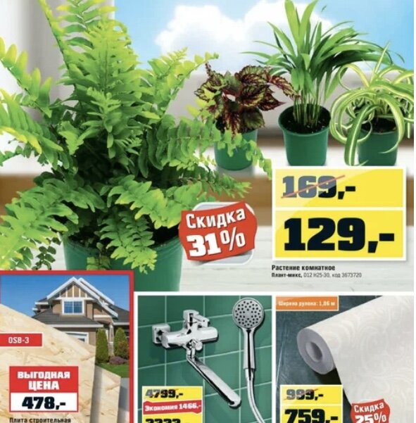 Фото из интернета 