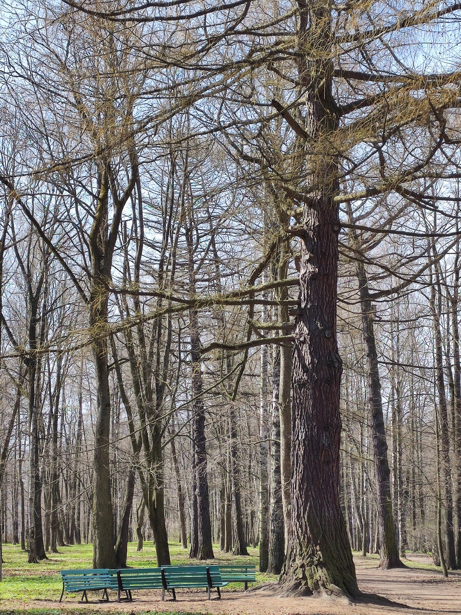 Удельный парк