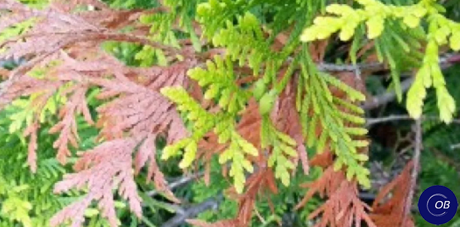 Нехватка питательных веществ