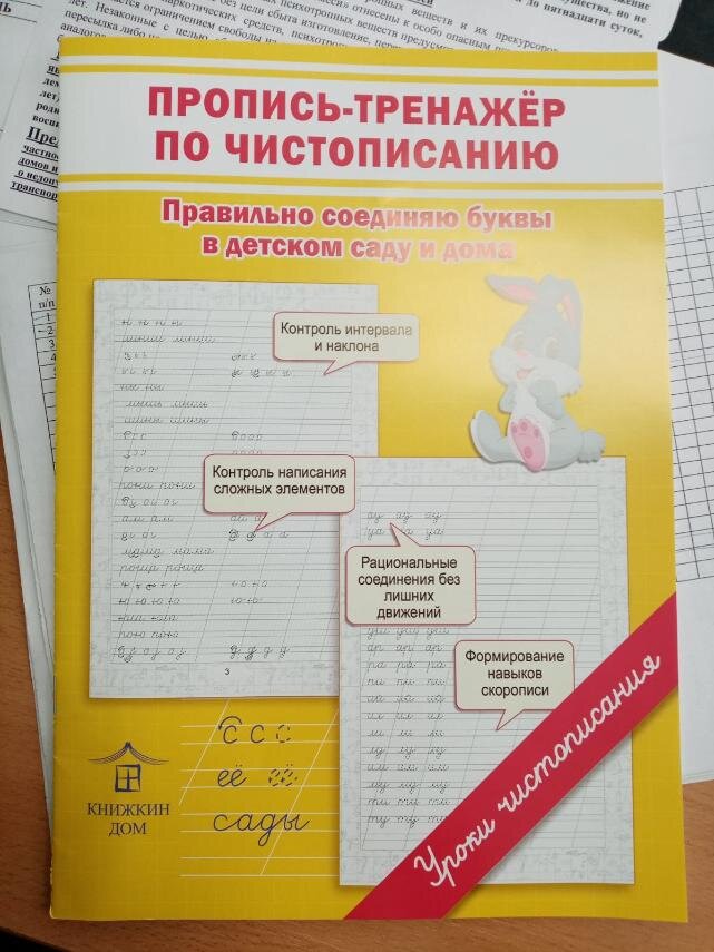 Вот такую пропись велела купить учитель ребятам из класса сына