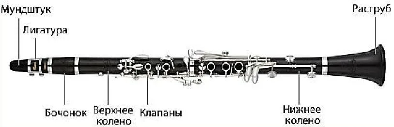 Кларнет где. Строение кларнета схема. Устройство кларнета схема. Составные части кларнета. Фагот строение инструмента.