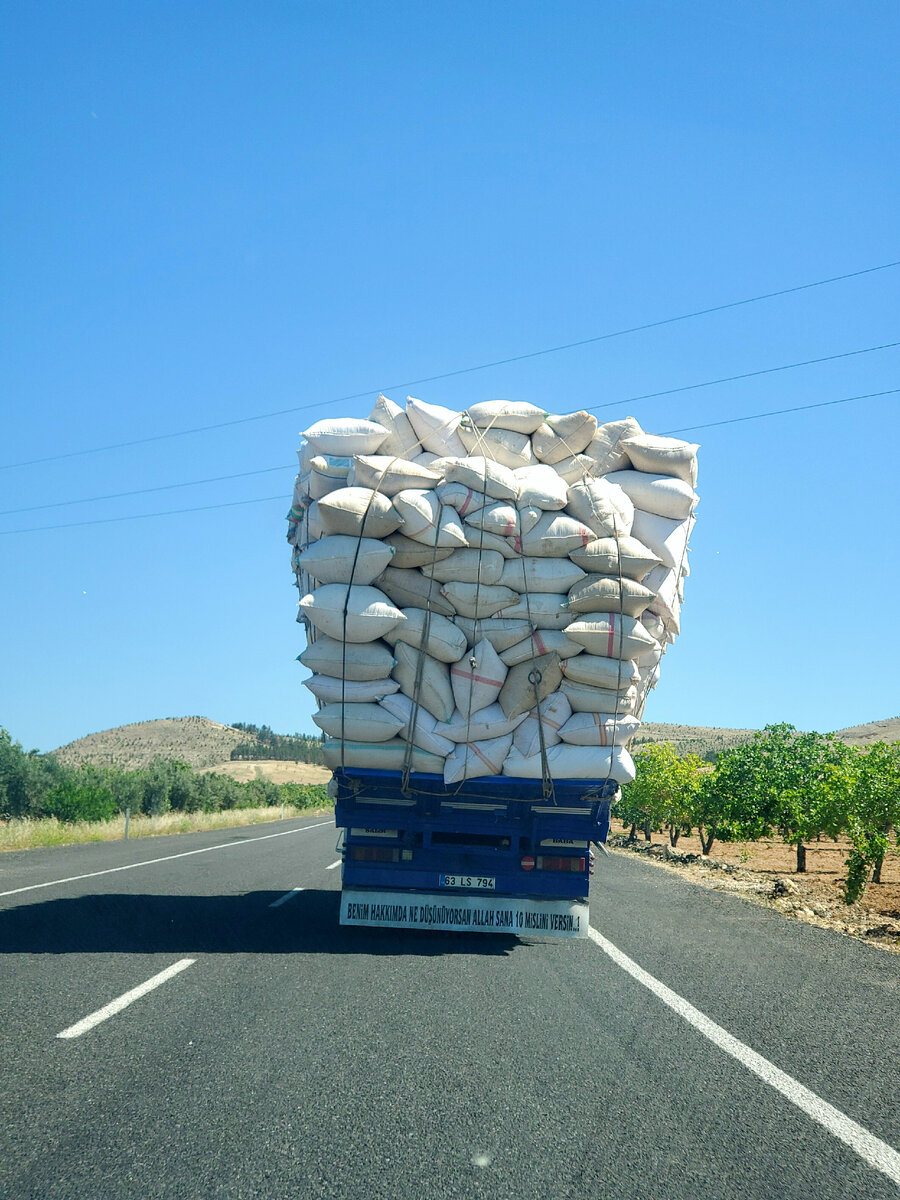 Такое чудо мы видели по дороге 😂