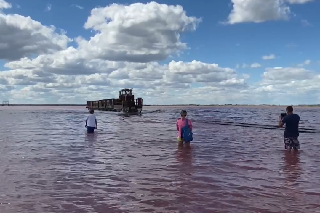 Розовое озеро Бурсоль, где прямо по воде ходит поезд. Алтайский край
