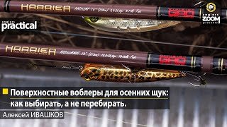 Поверхностные воблеры для осенних щук: как выбирать, а не перебирать.