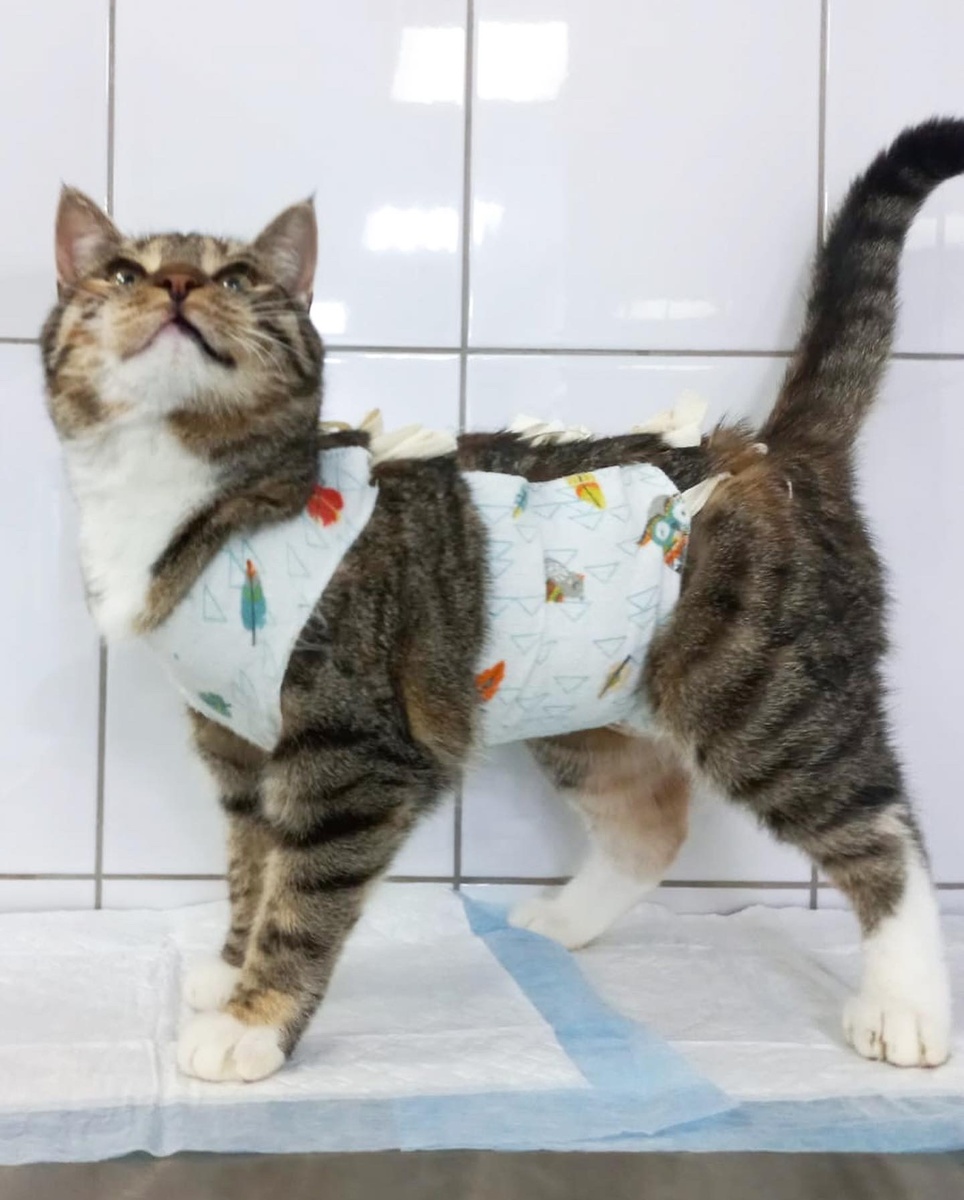 Прям выставочный экспонат :)