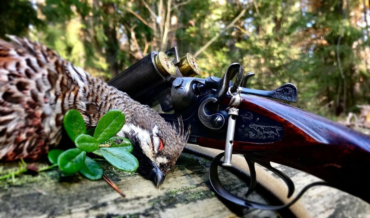 Охота бывает разной.