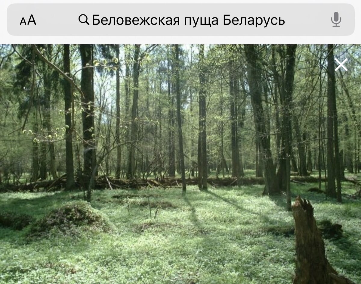 Фото из открытых источников 