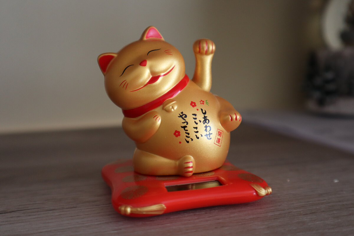 Денежный котик.