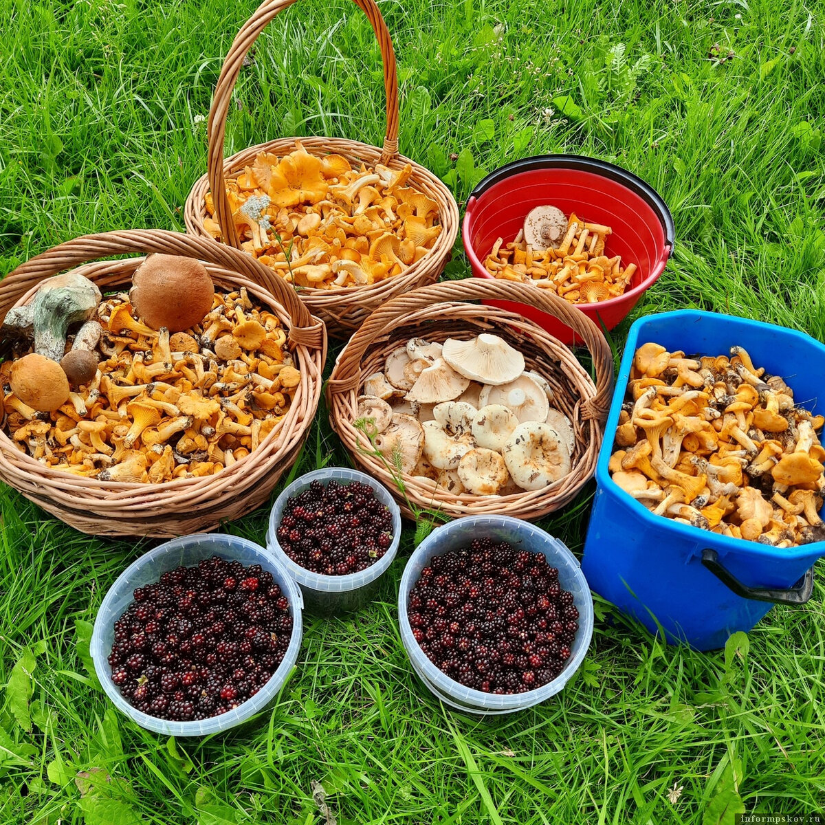 Фото: Юлия Алексеева-Романова