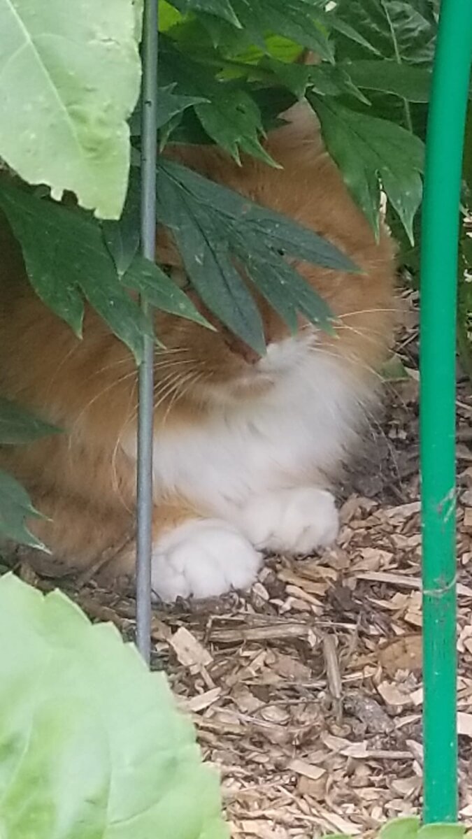 Фото из личного архива 