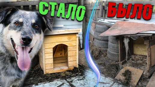 НОВЫЙ ДОМ 🏠 ДЛЯ ШАРИКА 🐶 // ОН СЧАСТЛИВ ?