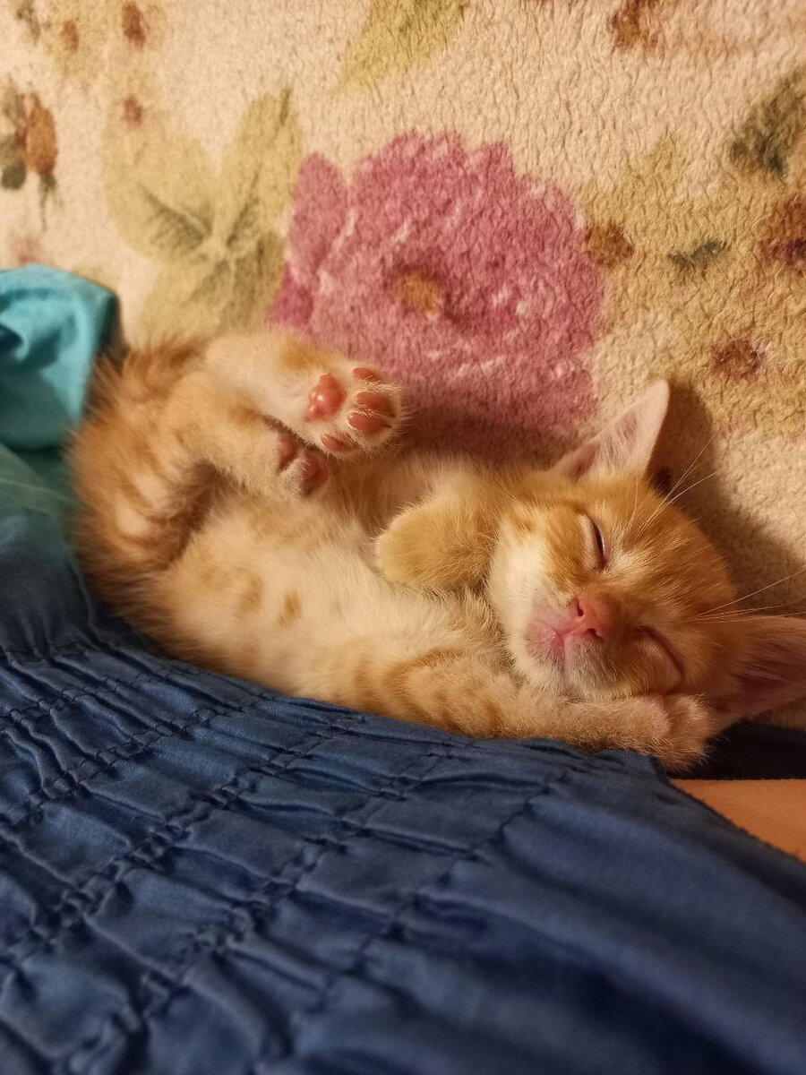 Я жулик и мне повезло.