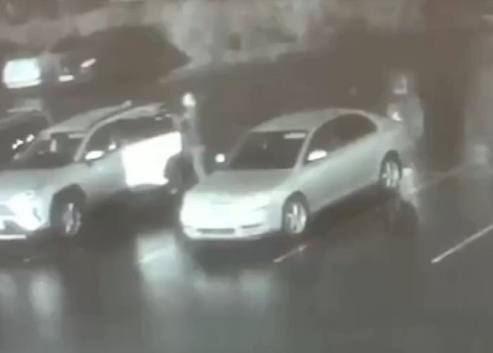 Кадр из видео. Источник: Mash Siberia