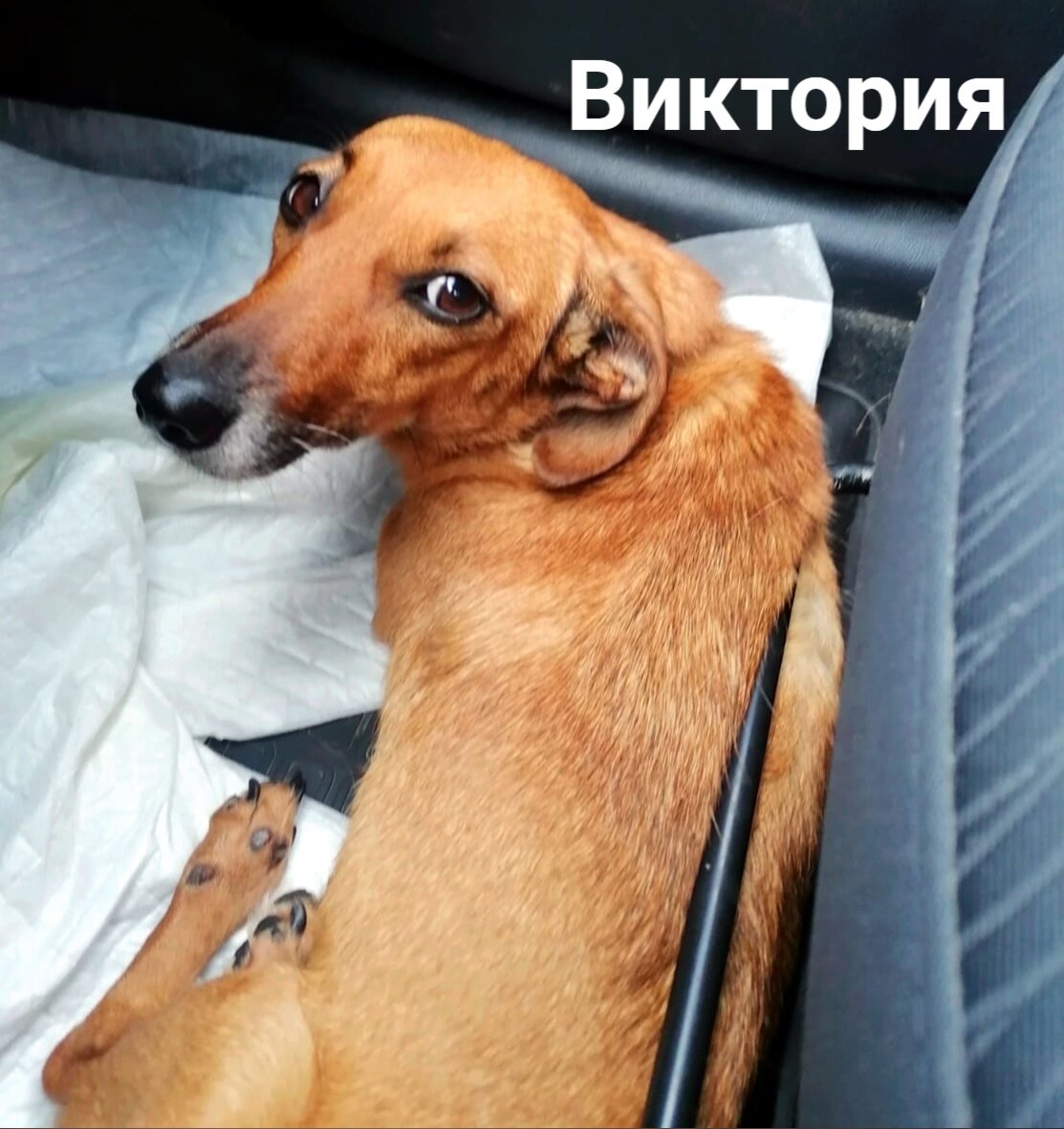 -1-2